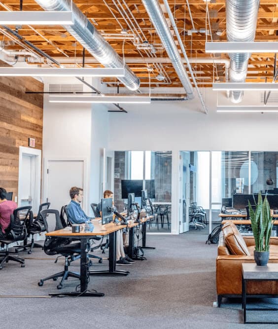 5. Türkiye Pazarı İçin Satın Alma ve Destek Rehberi