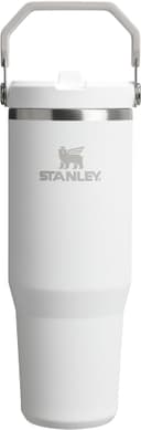 Stanley IceFlow Flip Straw Tumbler Pipetli Termos Bardak, 0.89 L