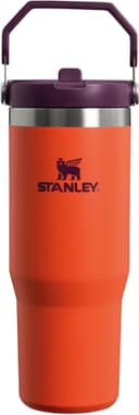 Stanley IceFlow Flip Straw Tumbler Pipetli Termos Bardak