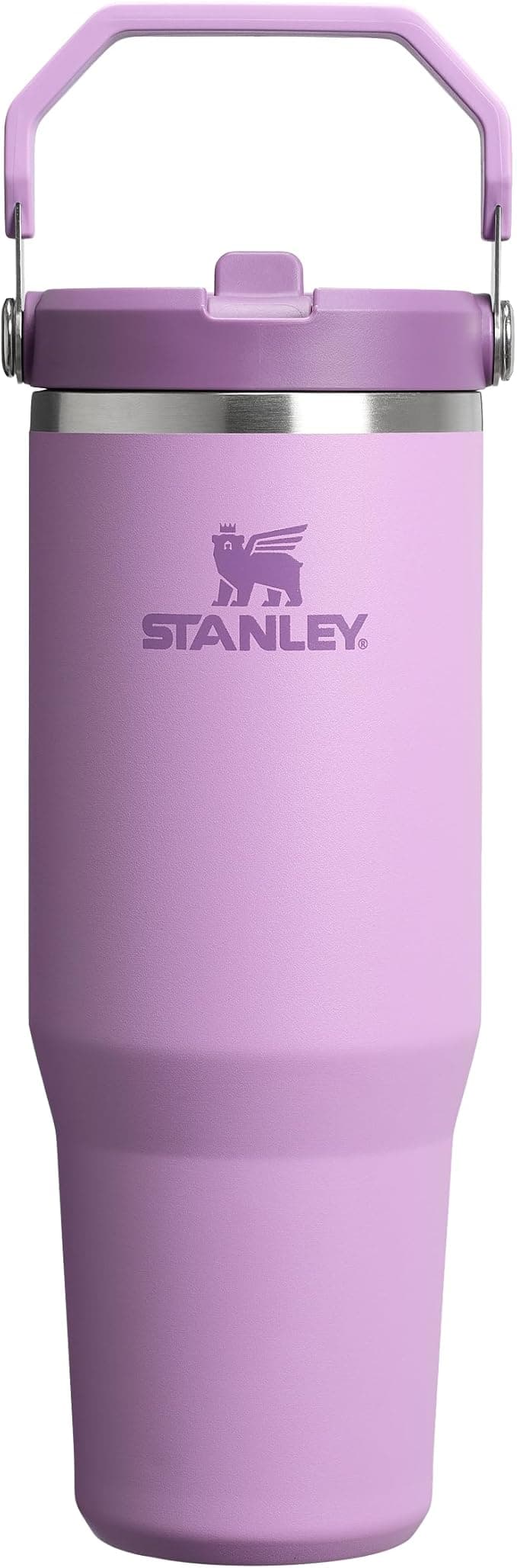 Stanley IceFlow Flip Straw Tumbler Pipetli Termos Bardak, Lila, 0.89 Litre