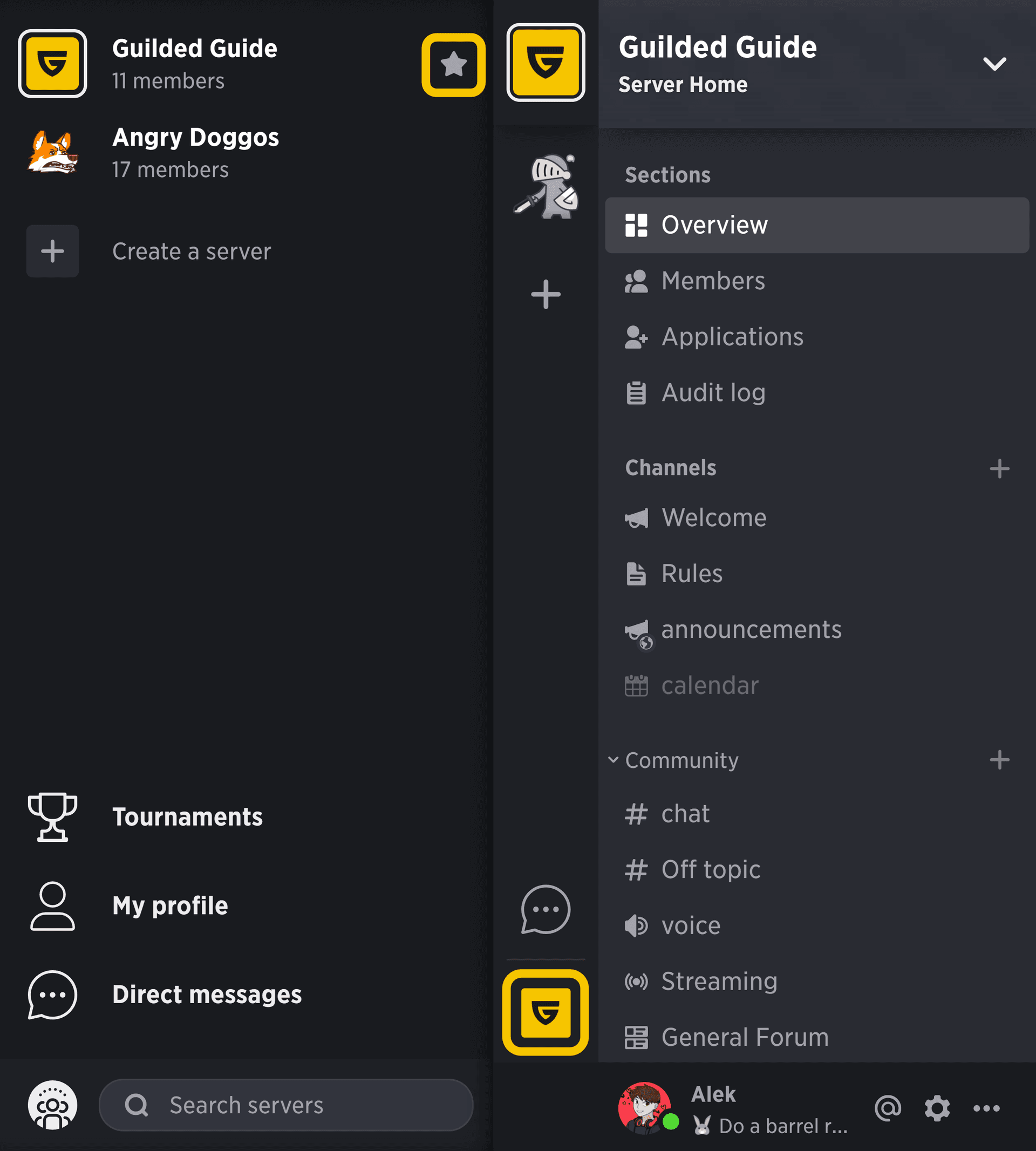 2. Oyuncuların Yeni Gözdesi: Guilded, Revolt ve Steam Chat