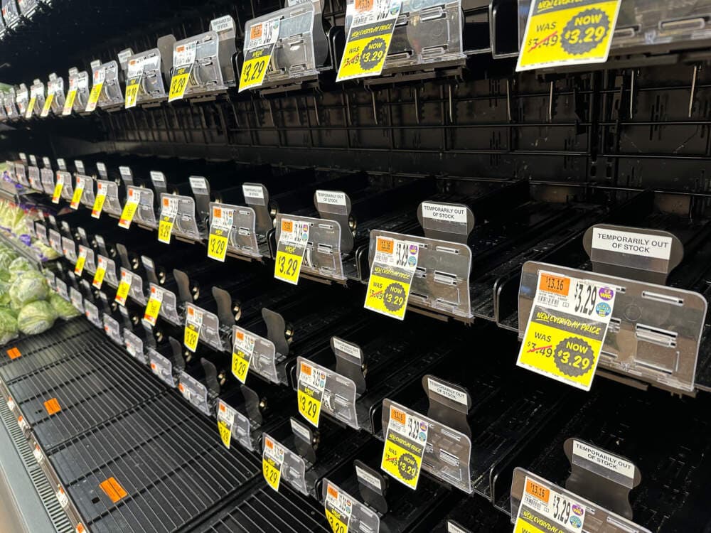 5. Türkiye Pazarı Fiyatları ve Satın Alma Rehberi