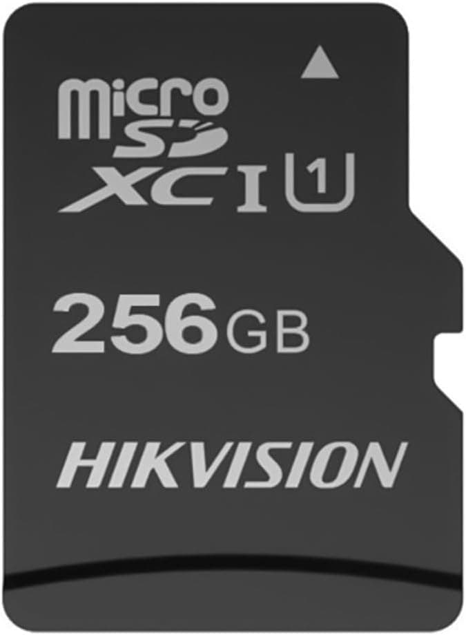 HIKSEMI HS-TF-C1 256 GB Micro SD